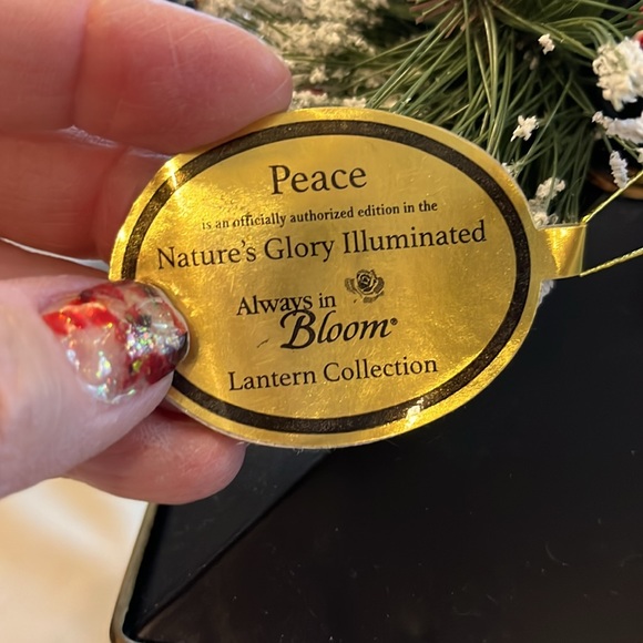 Beautiful decorative light up lantern with birds in snow. AAA batteries. New - Picture 3 of 4